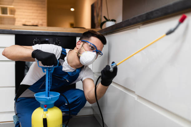 Best Wildlife Control Services  in Morgan, UT
