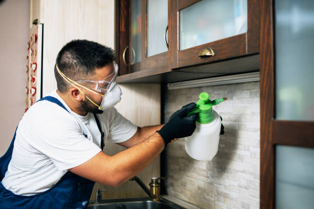 Best Rat Extermination Near Me  in Morgan, UT