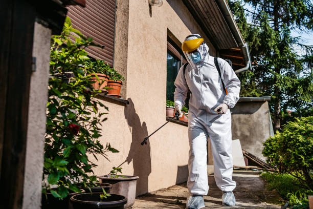 Best Emergency Pest Control  in Morgan, UT