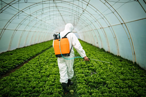 Best Residential Pest Control  in Morgan, UT