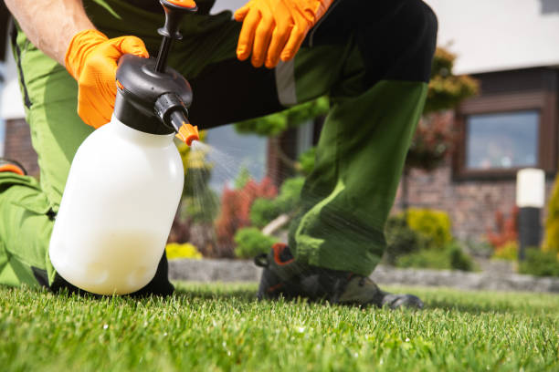 Best Affordable Pest Control Services  in Morgan, UT