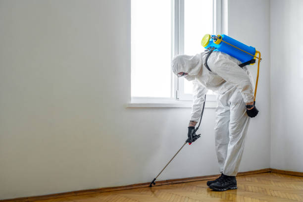 Best Pest Control Near Me  in Morgan, UT