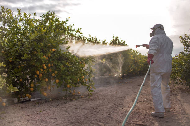 Trusted Morgan, UT Pest Control Experts