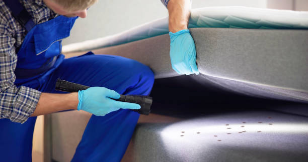 Best Exterminator Services  in Morgan, UT