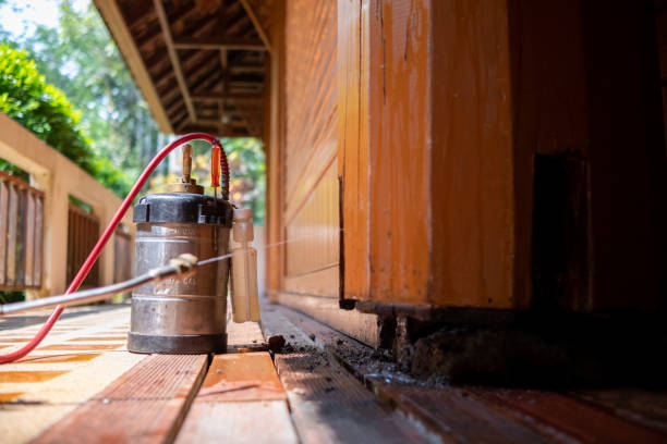Best Affordable Pest Control Services  in Morgan, UT
