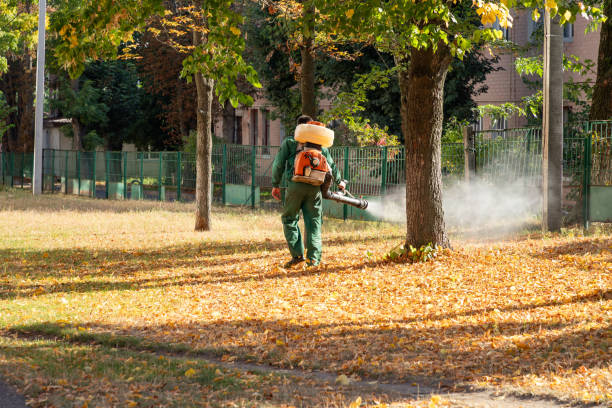 Best Mosquito Control Services  in Morgan, UT